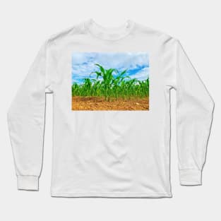 Corn growing in the field Long Sleeve T-Shirt